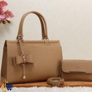 Hermes Bag with Shoe 6